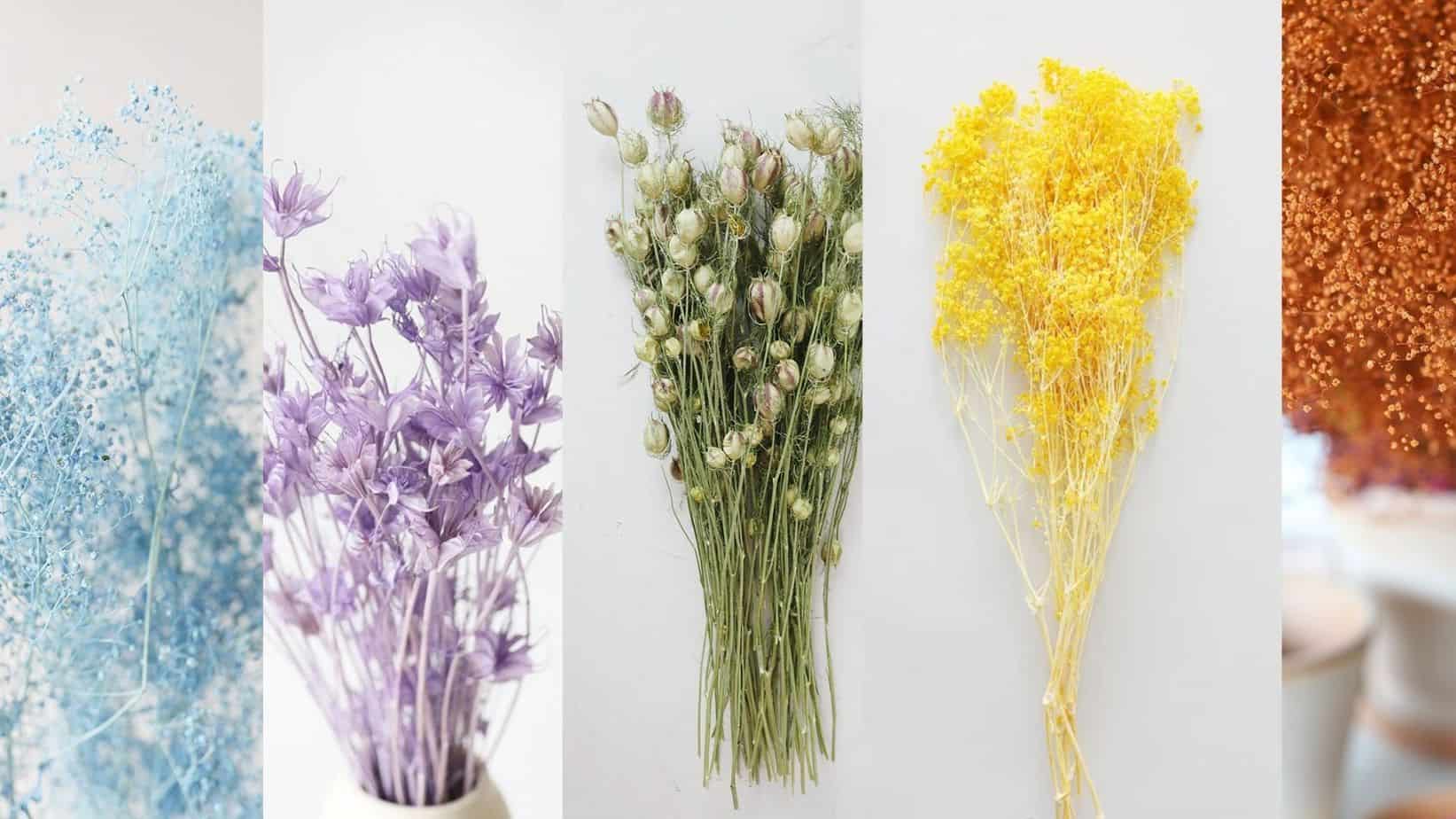 What Are The Wedding Colors of 2021? WeddingExperience